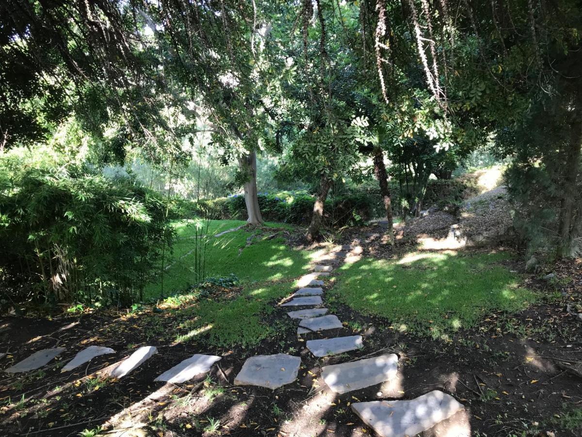 Villa Lampara En La Colina بينهافيس المظهر الخارجي الصورة